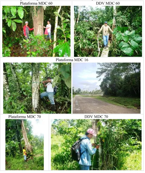 Plataformas y derechos de vía del Bloque MDC en la Amazonía ecuatoriana