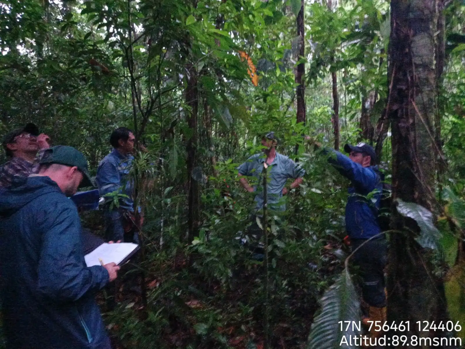 Proceso de validación y verificación TREES para la reducción de emisiones en Ecuador